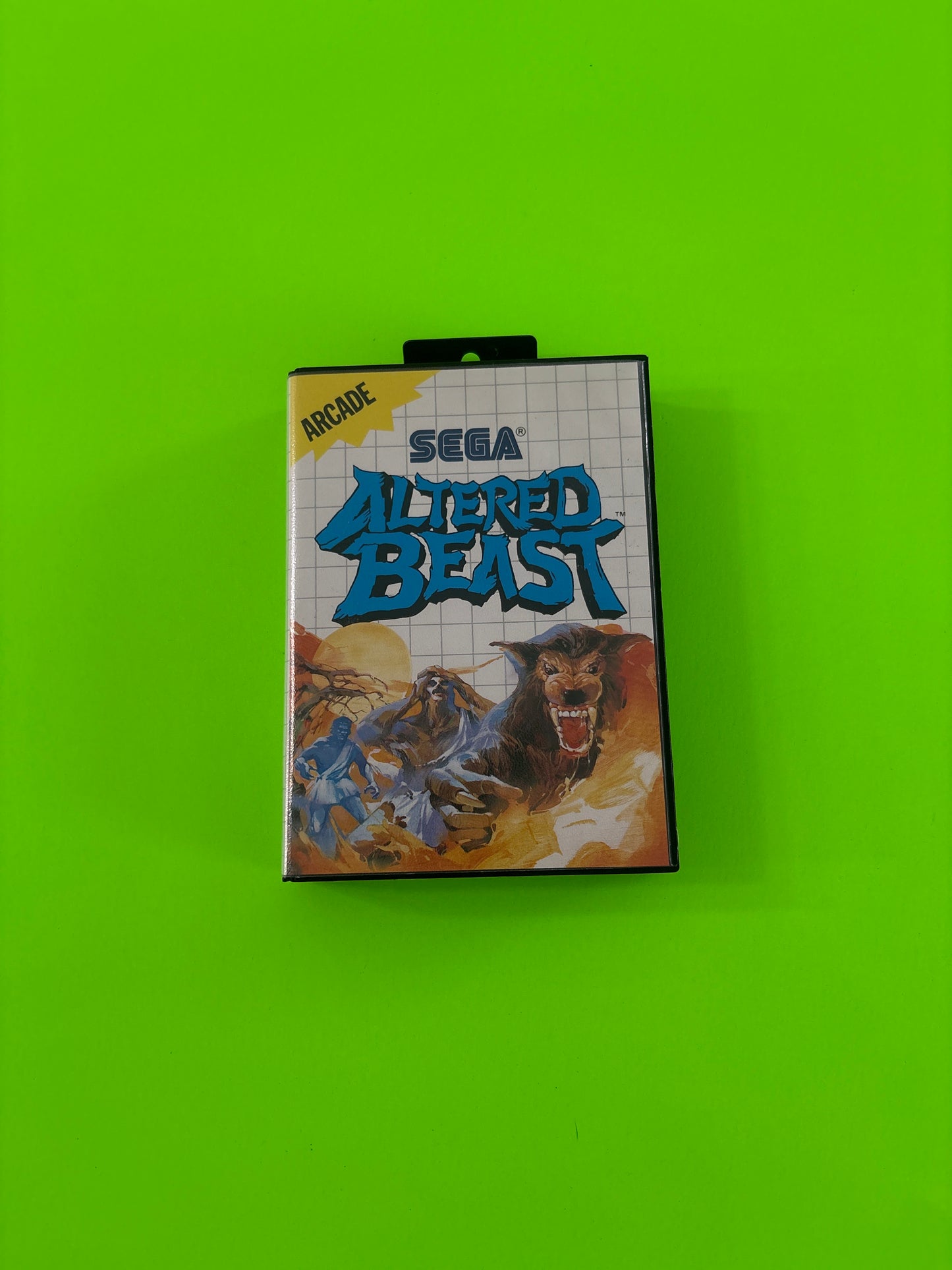 Altered Beast (Sega Master System, 1989) Complete w/Manual Authentic