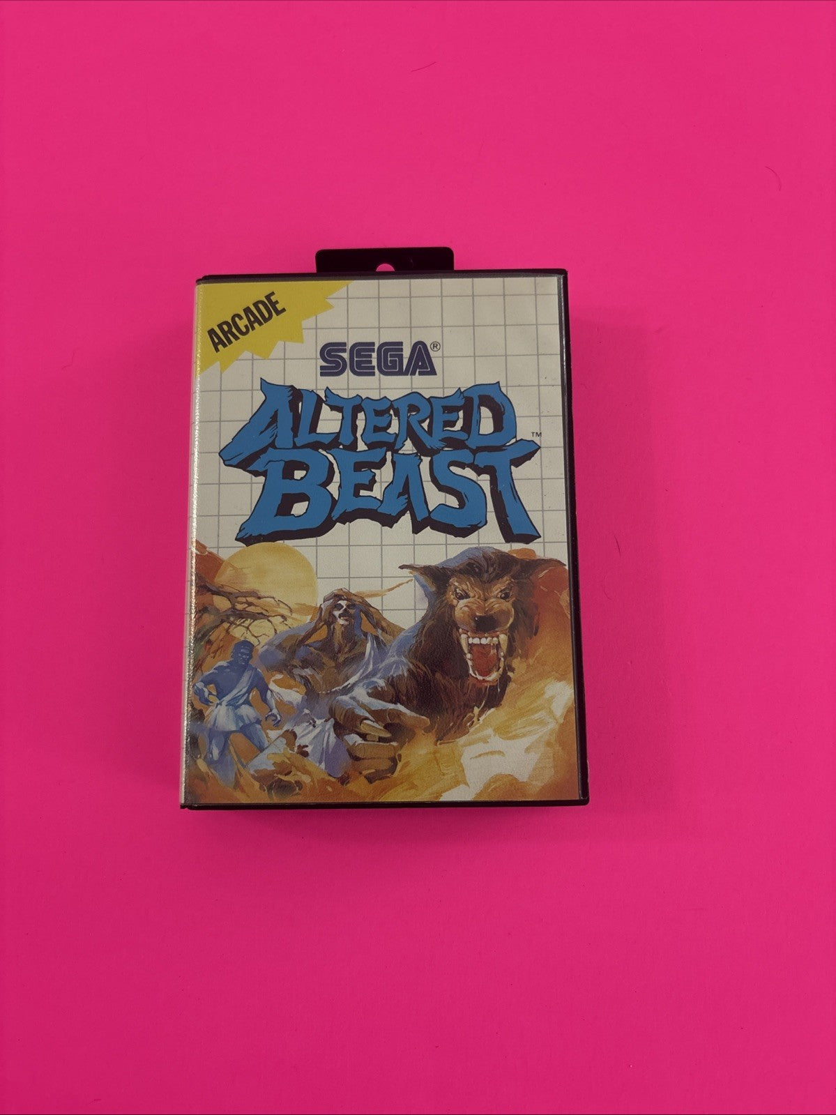 Altered Beast (Sega Master System, 1989) Complete w/Manual Authentic